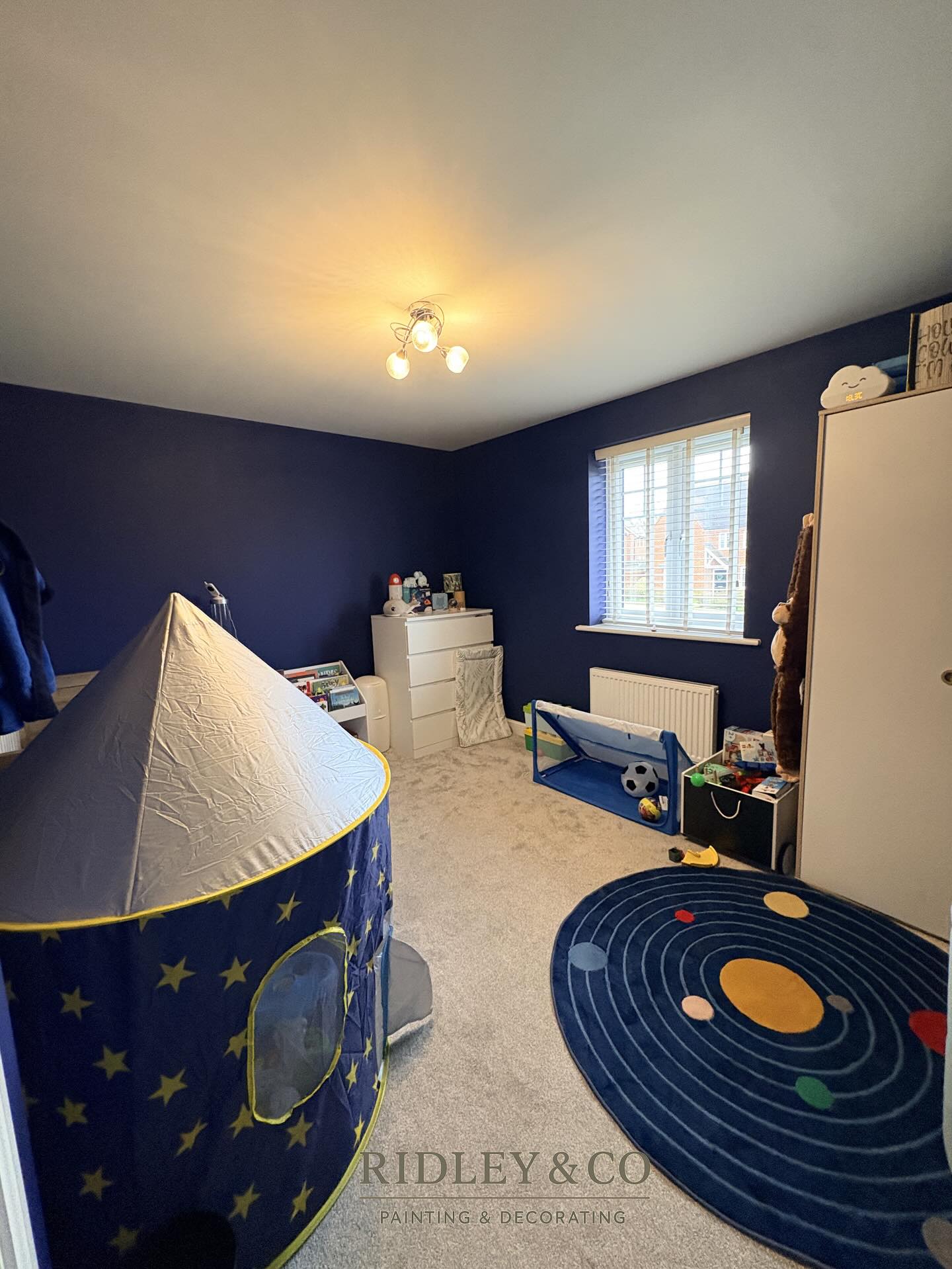 Bespoke Hand Painted Murals
